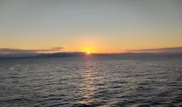 IMG_20211022_094417.webp
