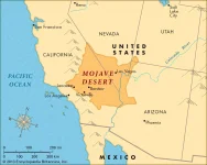 MOJAVE DESERT.webp