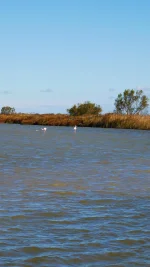 IMG-20211115-WA0026.webp