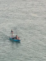 IMG-20211205-WA0016.webp
