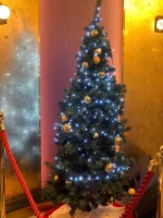 IMG-20211208-WA0020.webp