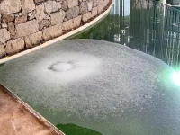 IMG-20211215-WA0024.webp