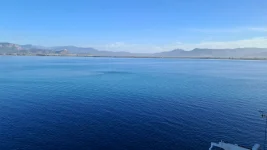 1000035336.webp