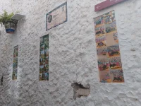 IMG-20250508-WA0007.webp