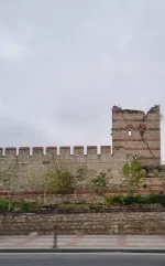 20250424_084021.webp