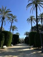tempImageL9ecL2.webp