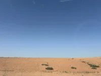 tempImage3EYTJI.webp