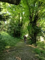 IMG_20250511_165430690_HDR.webp
