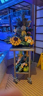 1000037208.webp