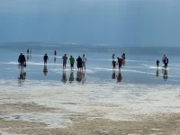20250426_152510.webp