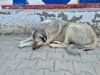 20250426_153032.webp