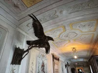 IMG_20250525_104540351.webp