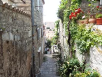 DSCF6610.webp