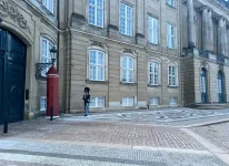 1750161746659.webp
