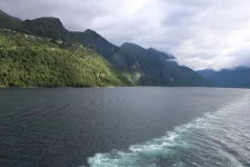 1750195206656.webp