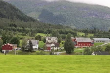 1750198193394.webp