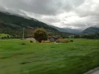 1750198283295.webp