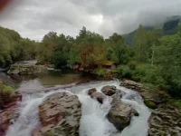 1750198297118.webp