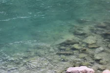 1750230653528.webp