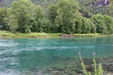 1750230694012.webp