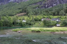 1750230893143.webp