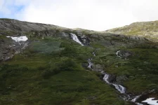 1750233244283.webp