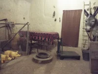 DSCF6738.webp