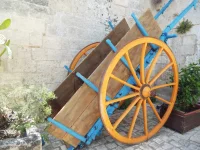 DSCF6735.webp