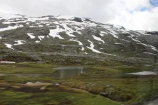 1750270670968.webp