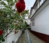 1750358239036.webp
