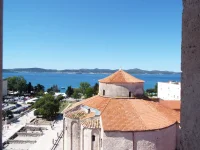 DSCF6776.webp