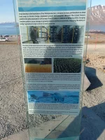 IMG_20250627_175258_HDR.webp