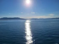 1751570513033.webp