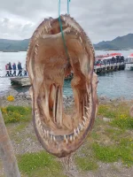 IMG_20250630_180513_HDR.webp