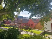IMG_20250702_121753_HDR.webp IMG_20250702_121753_HDR.webp
