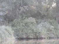 DSCN0096.webp