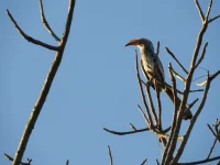 DSCN0093.webp