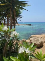thumbnail_IMG_3314.webp