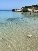 thumbnail_IMG_3378.webp