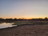 20250618_172831.webp