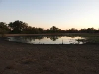 DSCN0105.webp