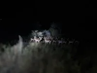 20250618_180956.webp