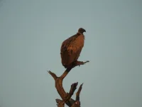DSCN0109.webp