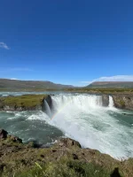 1000085160.webp