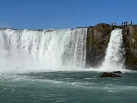 1000085182.webp