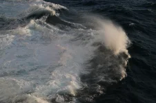 IMG_7415.webp
