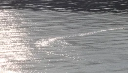 IMG_8094~2.webp