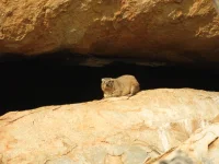DSCN0133.webp