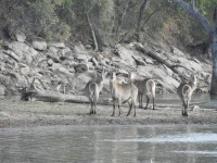 DSCN0137.webp