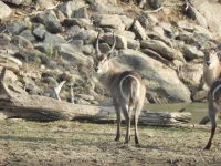 DSCN0140.webp